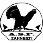 Lambang Olimpic Zărneşti
