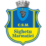 Lambang Sighetu Marmaţiei