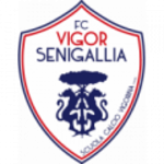 Lambang Vigor Senigallia