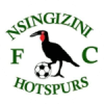 Lambang Nsingizini Hotspurs