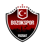 Lambang Yozgat Bld Bozokspor