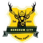 Lambang Berekum City