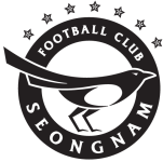 Lambang Seongnam FC