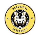 Lambang Progresul Draganesti