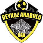 Lambang Beykoz Anadolu