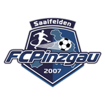 Lambang Pinzgau Saalfelden