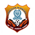 Lambang Police XI