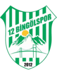 Lambang 12 Bingölspor