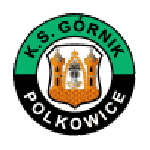 Lambang Górnik Polkowice